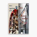 IGNOU BPSC Study Material, Guide Book, Help Book – Combo of BPSC 133 BPSC 134 – BAG Poltical Science with Previous Years Solved Papers