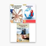 IGNOU BSWE Study Material, Guide Book, Help Book – Combo of BSWE 3 BSWE 5 BSWE 6 – BSW with Previous Years Solved Papers
