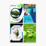 IGNOU BBYCT Study Material, Guide Book, Help Book – Combo of BBYCT 131 BBYCT 133 BBYCT 135 BBYCT 137 – BSCG Botany with Previous Years Solved Papers