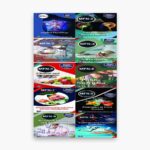 IGNOU MFN Study Material, Guide Book, Help Book – Combo of MFN 1 MFN 2 MFN 3 MFN 4 MFN 5 MFN 6 MFN 7 MFN 8 MFN 9 MFN 10 – MSCDFSM with Previous Years Solved Papers mfn1 mfn2 mfn3 mfn4 mfn5 mfn6 mfn7 mfn8 mfn9 mfn10